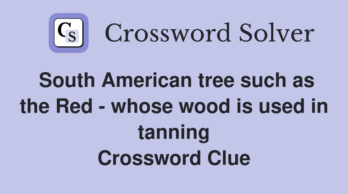 South American tree such as the Red whose wood is used in tanning